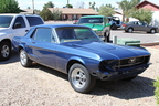 Major Mustang