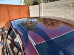 Honda Roof